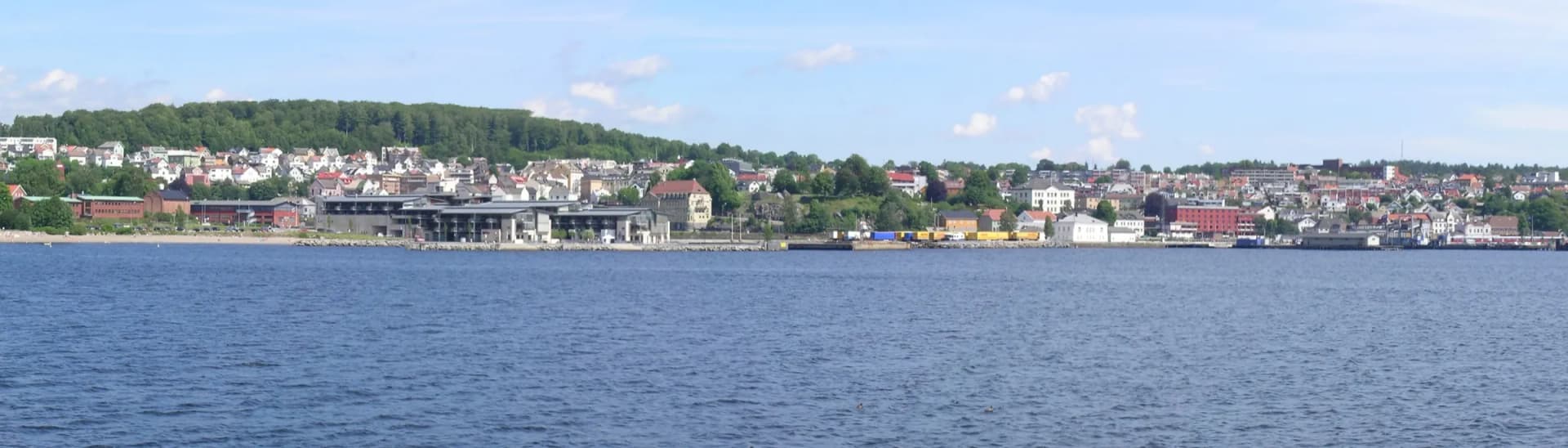 Larvik sett fra Larviksfjorden en sommerdag, med Bøkeskogen over byen